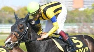 【エリザベス女王杯】ステラリア斉藤師「一回使って体のハリもいい」/ねぇさんのトレセン密着