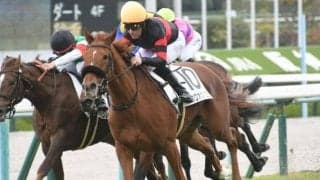 【阪神5R新馬戦結果】3番人気ホウオウバニラが押し切ってデビュー勝ち
