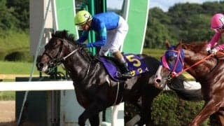 【JRA】サヴィが大井移籍へ、2020年のサマーチャンピオン覇者