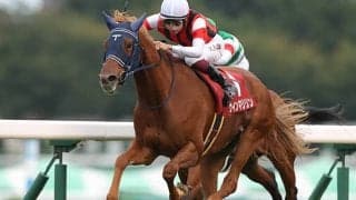 【エリザベス女王杯予想】過去傾向に変化なし!? 積極的な競馬がマイナスの可能性も…/JRAレース展望