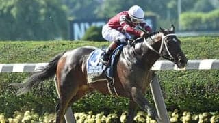 米G1馬シルバーステートが種牡馬入り、同国のクレイボーンファームで