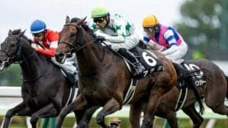 【福島記念前日オッズ】アラタが4.0倍で1番人気、11頭が20倍以下の混戦