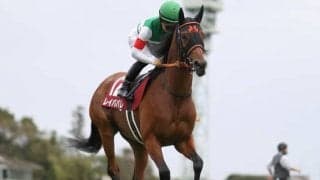 【WIN5予想】エリザベス女王杯は格の高いレースを勝っている馬に注目