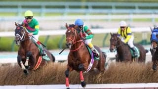 【京都ジャンプS】ケンホファヴァルトが障害重賞初制覇