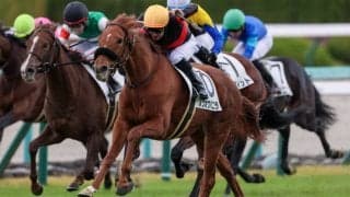 【新馬/阪神5R】ドゥラメンテ産駒 ホウオウバニラがデビューV