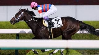 【新馬/阪神4R】武豊 ジュタロウが大差圧勝デビュー