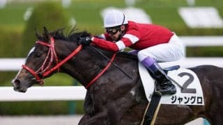 【阪神3R】藤田晋氏所有 ジャングロが人気に応える