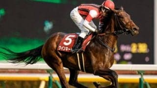 【エリザベス女王杯予想】人気通りに収まることは少なく、一ひねりが必要なレース