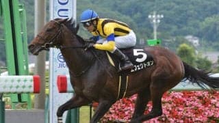 【福島記念予想】小回りコースの適性がある馬を中心視