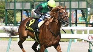 【マイルCS】クリノガウディーは岩田望来騎手とのコンビで参戦