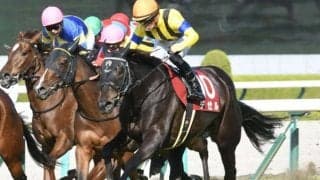 【エリザベス女王杯】デゼル友道師「最後に坂のある阪神はあっている」/ねぇさんのトレセン密着