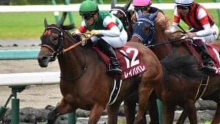 【エリザベス女王杯 13時時点オッズ】レイパパレが単勝3.1倍の1番人気も僅差でアカイトリノムスメが続く