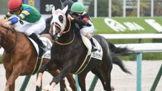 【阪神5R新馬戦結果】9番人気カレンマックナイトが3頭の接戦を制す