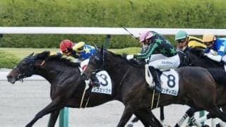 【阪神8R】レヴェッツァが力強く抜け出す