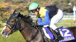 【エリザベス女王杯・馬体重】アカイトリノムスメは452kg(+4)、レイパパレは442kg(0)