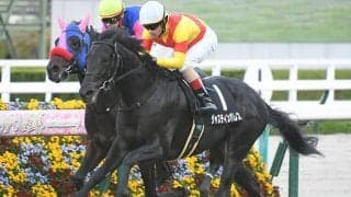 【黄菊賞結果】高額ディープ産駒ジャスティンパレスが人気に応えてデビュー2連勝