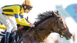 【JRA・WIN5】メインレース波乱続きで的中8票、配当6761万50円に