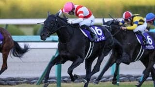 【エリザベス女王杯】伏兵アカイイトが大金星