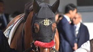 【JRA】オグリローマンの孫クリップスプリンガが予後不良に