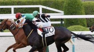 【新馬/阪神5R】カレンブラックヒル産駒 カレンマックナイトがデビューV
