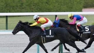【黄菊賞】ジャスティンパレスがデビュー2連勝