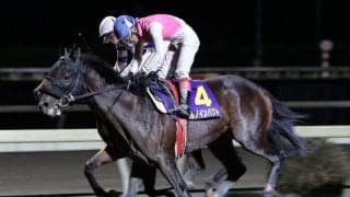 【高知・土佐秋月賞】ハルノインパクト 世代最終戦を制す