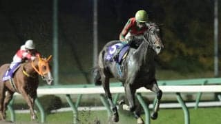 【盛岡・プリンセスC】レディーアーサーが完勝！