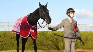 【エリザベス女王杯】売上は168億2731万6500円で昨年からおよそ9.2億円の増加