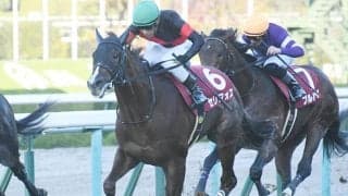 【デイリー杯2歳S】売上は22億2799万9400円で昨年からおよそ1700万円の減少