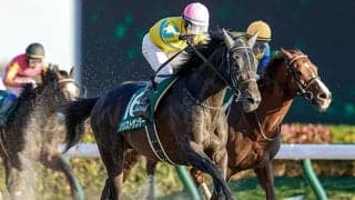 【武蔵野S】売上は37億9316万7600円で昨年からおよそ3.4億円の増加