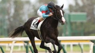 【東京スポーツ杯2歳S見どころ】2歳戦屈指の出世レースにイクイノックスら素質馬が集う