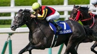 【有馬記念】ファン投票スタート！ 18日からWEB限定で