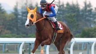 【金沢・読売レディス杯結果】ハクサンアマゾネスが力の違いを見せて重賞10勝目