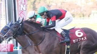 【デイリー杯2歳S】藤岡佑「まだ目一杯という感じではない」セリフォスが無傷の3連勝