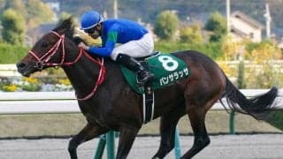 【福島記念】パンサラッサが鮮やかな逃げ切り