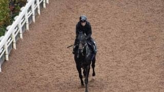 ピオネロ半弟セレシオンがデビュー/関西馬メイクデビュー情報