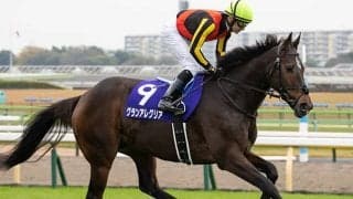 【マイルCS予想】AIが「珍ジャッジ」？ コンピュータに弾き出された週初めの本命馬とは…