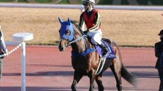 【霜月Sハンデ確定】タイムフライヤーは58.0kg、ヘリオスは57.0kg