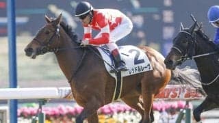 【先週のJRA抹消馬】エアグルーヴ一族の良血馬レッドルレーヴ、エタリオウの半妹ペレなど