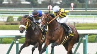 【アンドロメダSハンデ確定】ファルコニアは56.0kg、ラーゴムは54.0kg