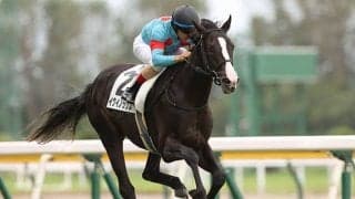 【東スポ杯2歳S想定騎手】イクイノックスはC.ルメール騎手、レッドベルアームは福永祐一騎手