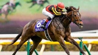 【マイルCS想定騎手】グランアレグリアはC.ルメール騎手、シュネルマイスターは横山武史騎手