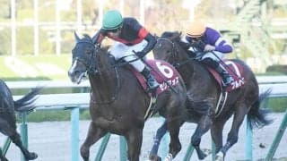 2歳戦に強い父ダイワメジャー　2歳重賞を勝てなかったのは「わずか2世代」