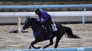 チェリーオントップなど、先週のゲート試験/栗東トレセンニュース