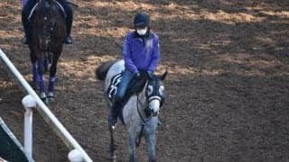 ザズーの2019など、先週の入厩情報/栗東トレセンニュース