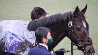 【マイルCS予想オッズ】昨年覇者グランアレグリアが予想1番人気、3歳馬シュネルマイスターが続く