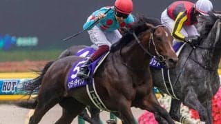 【マイルCS 注目馬】ステイゴールド産駒のマイル王　昨年2着のリベンジに虎視眈々