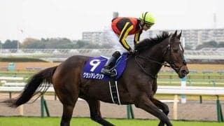 【マイルCS「見逃せない調教師」ベスト3】阪神芝1600mで複勝回収率133％を誇る美浦の伯楽とは？