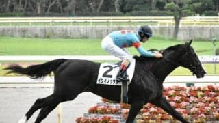 【東京スポーツ杯2歳S予想オッズ】キタサンブラック産駒イクイノックスが予想1番人気