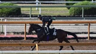 【東京スポーツ杯2歳S「見逃せない調教師」ベスト3】東京芝1800mで複勝率53.6％を誇る栗東所属の調教師は？